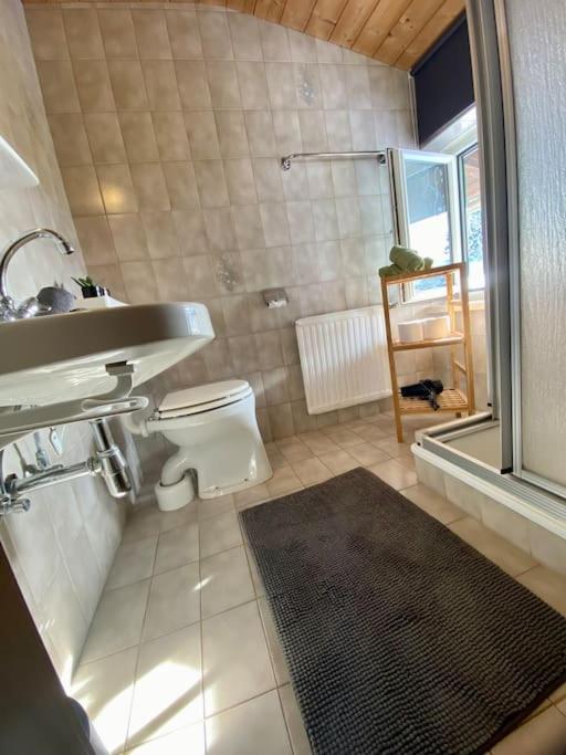 Alpenchalet Basecamp Apartment 2 سانكت مارتن ام تنيسي المظهر الخارجي الصورة